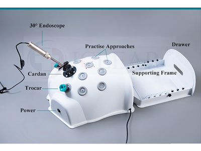 Hộp thực hành nội soi ổ bụng