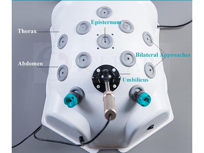 Hộp thực hành nội soi ổ bụng