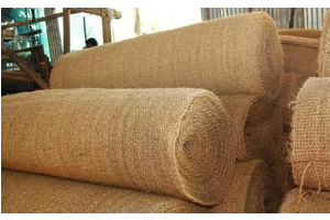 How Coconut Fiber is Used in Erosion Control