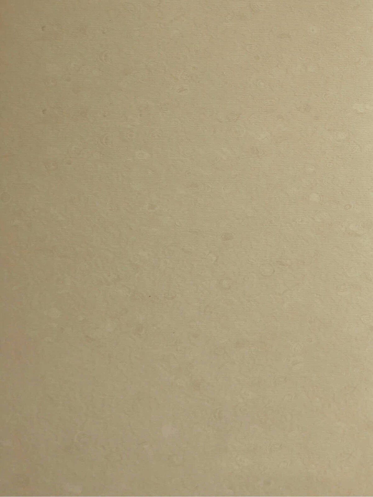 Tấm nhựa trải sàn vinyl PVC dân dụng cao cấp- MIA- HEMOGEN