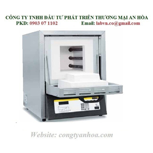LÒ NUNG CHUYÊN DỤNG NABERTHERM 8 LÍT 1400oC MODEL:HTC08/14