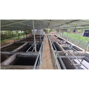 Giải pháp Xử lý Nước Thải Chăn Nuôi Heo Hiệu Quả, Công Suất 400m3/ngày.đêm – Trang trại Trọng Khôi tại Hiếu Liêm