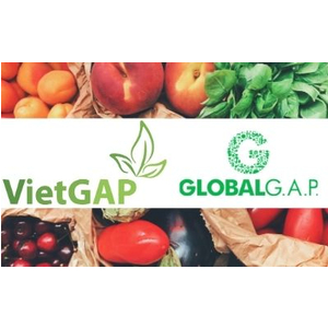 Hướng dẫn đạt chứng nhận VietGAP & GlobalGAP – Nâng cao giá trị nông sản