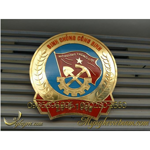 Huy hiệu Binh chủng công binh 2m1