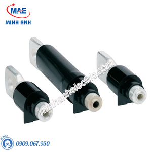 Thiết bị đóng cắt Hager (MCCB) - Model HYE033H