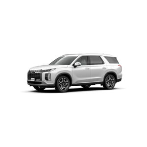 Palisade Prestige (6/7 Chỗ)