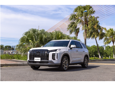 Hyundai Palisade Prestige 6 chỗ