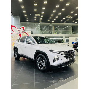 Hyundai Tucson 2.0 Dầu Đặc Biệt