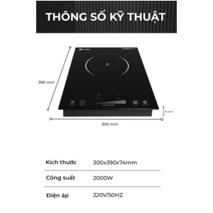 Bếp Điện Từ IRUKA I-111
