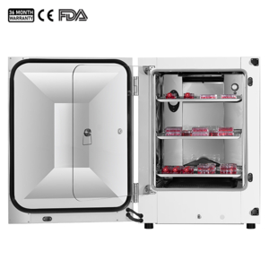 Máy ủ CO2 170L - ICB-170