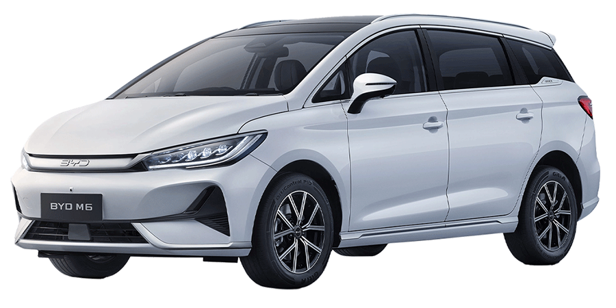 BYD M6