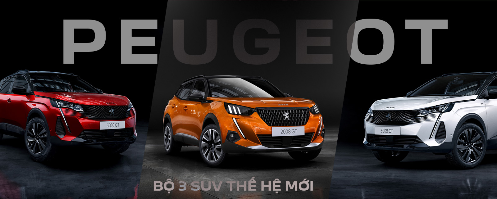 Peugeot 2008 2020  picture 4 of 253