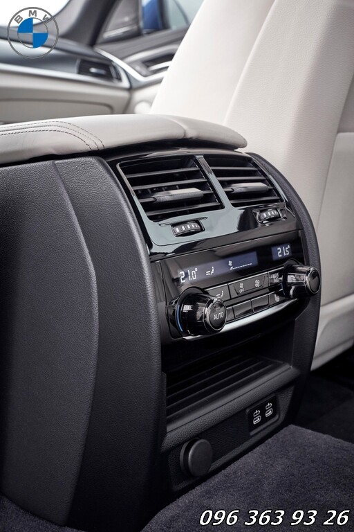 BMW 530i Luxury - Hình 12