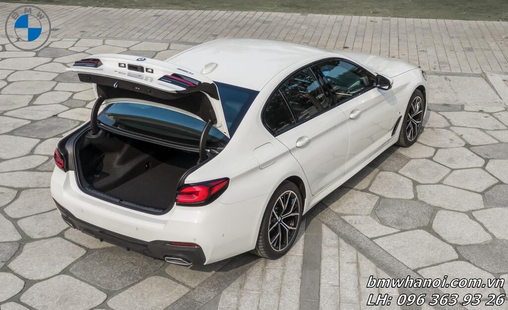 BMW 530i Luxury - Hình 12