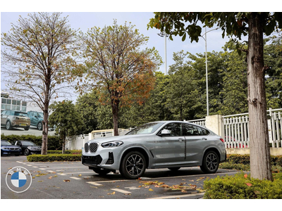 BMW X4 xDrive20i M Sport