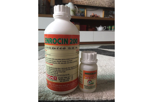 ENROCIN 20%