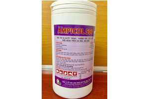 AMPICOL 500