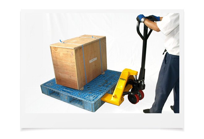 Xác định kích thước Pallet