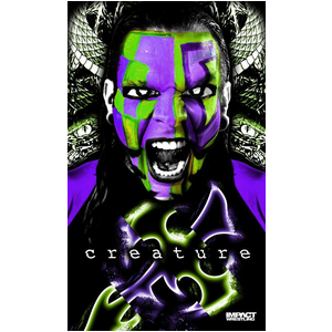 BANNER JEFF HARDY (1m × 1.5m)