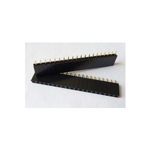 Jum cái 2.54mm 20 chân