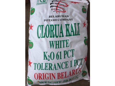 KALI CHLORUA (KALI TRẮNG )