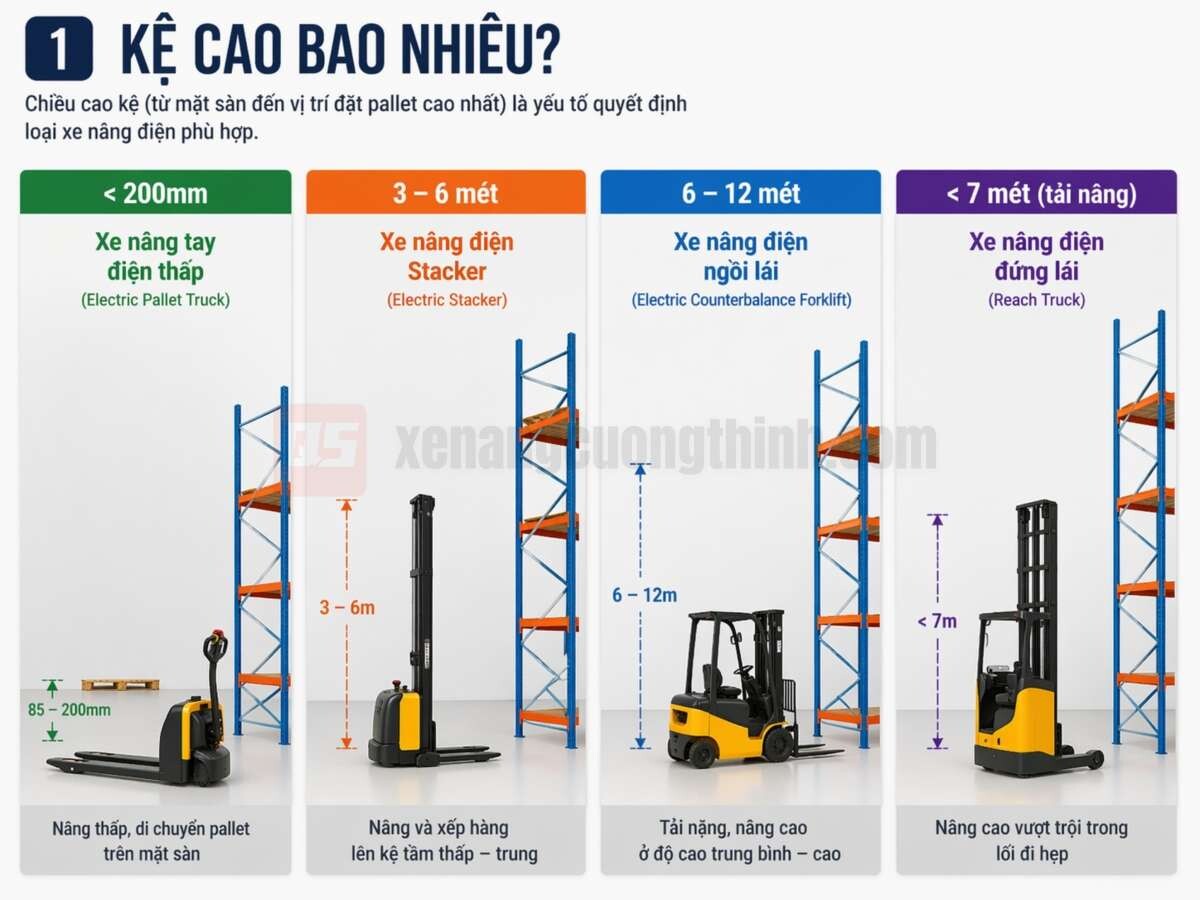 Kệ Cao Bao Nhiêu? | Các Loại Xe Nâng Điện Phổ Biến