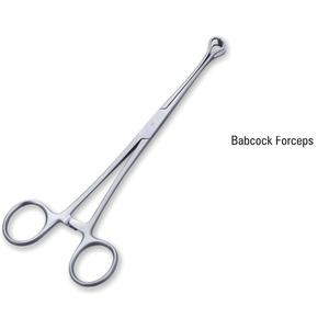 Kẹp Babcock 16 cm Hilbro 52.0182.16