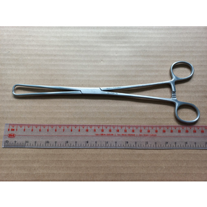 Kẹp phẫu thuật Braun 25 cm Hilbro 60.0584.25