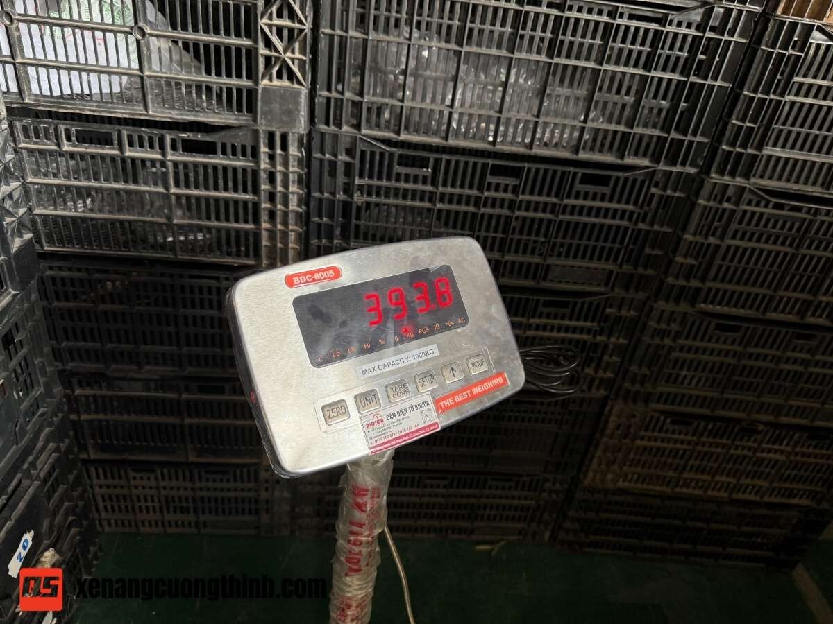 Bàn Giao Xe Nâng Điện Gắn Cân - Hỗ Trợ Hiệu Chuẩn