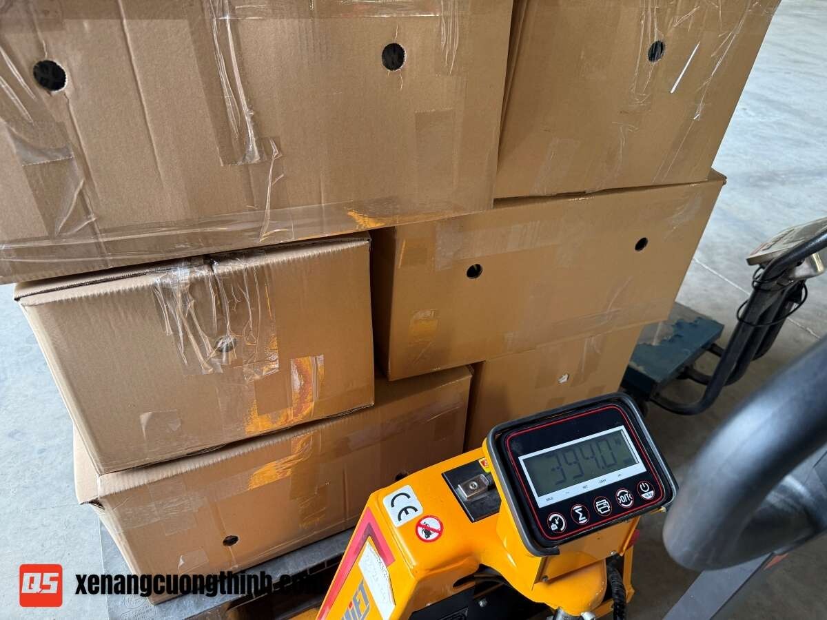 Bàn Giao Xe Nâng Điện Gắn Cân - Hỗ Trợ Hiệu Chuẩn
