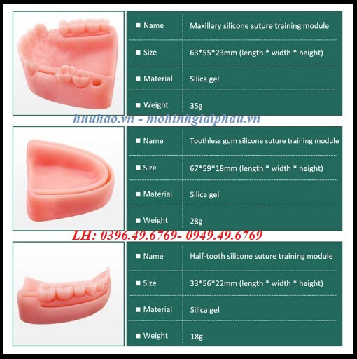 Mô hình luyện tập khâu nướu
