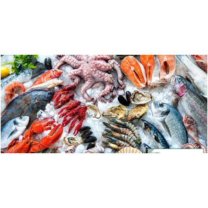 Kho lạnh bảo quản hải sản