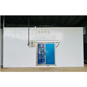 KHO CẤP ĐÔNG NHANH VÀ TRỮ ĐÔNG SÂU SẦU RIÊNG - BUÔN MA THUỘT