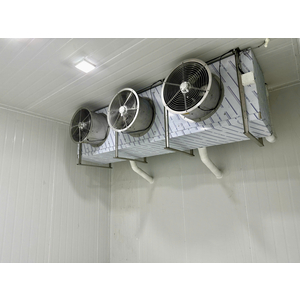 KHO CẤP ĐÔNG SẦU RIÊNG - TT PHƯỚC AN