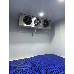 KHO CẤP TRỮ ĐÔNG SÂU SẦU RIÊNG - ĐĂK LĂK