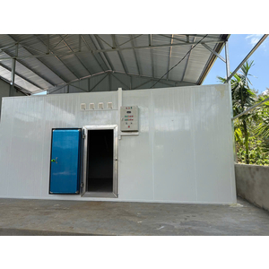 KHO CẤP TRỮ ĐÔNG SÂU SẦU RIÊNG - PHƯỚC HOÀ, KRÔNG PẮC