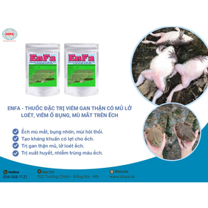 Khó khăn mà bà con gặp phải trong chăn nuôi ếch - Giải pháp an toàn hiệu quả