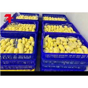 Kho lạnh dự trữ sầu riêng tại xã Ea Yông