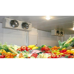 Kho lạnh bảo quản rau quả