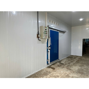 KHO TRỮ ĐÔNG SẦU RIÊNG BÙ ĐĂNG, BÌNH PHƯỚC