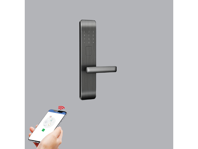 Khóa Cửa Thông Minh Màu Đen DL2