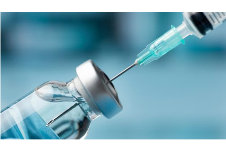 Không bị chó dại cắn, nhưng bị điều này vẫn có thể mắc bệnh dại