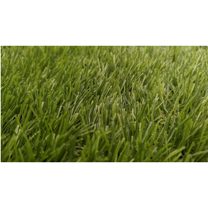 Combo Bộ Khung Lưới Tập Swing Golf Cao Cấp: Khung Golf Chất Liệu INOX, Thảm Putting Kích Thước Lớn 4mx6m Loại Cỏ Tốt Nhất