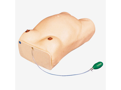 Mô hình mô phỏng quá trình kiểm tra thai sản