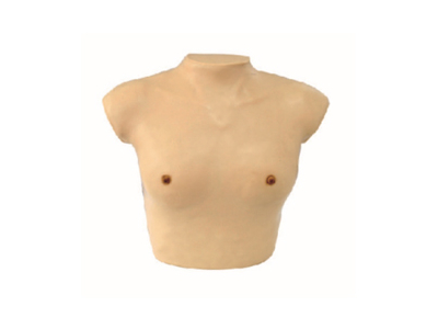 Mô hình mô phỏng kiểm tra vú