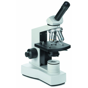 Kính hiển vi Euromex monocular microscope XLR