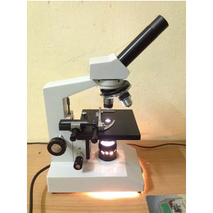 Kính hiển vi sinh học 1 mắt FL 305A