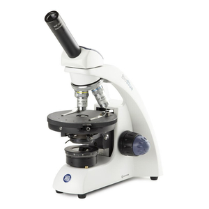 Kính hiển vi sinh học - BB.4220 ‑ P - Bioblue - Euromex - Hà Lan
