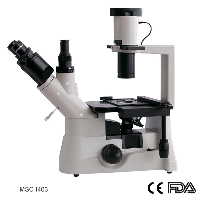 Kính hiển vi sinh học đảo ngược, đầu ba thị kính - MSC-I403