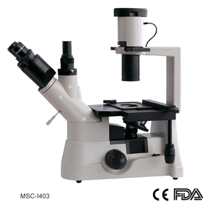 Kính hiển vi sinh học đảo ngược, đầu ba thị kính - MSC-I403